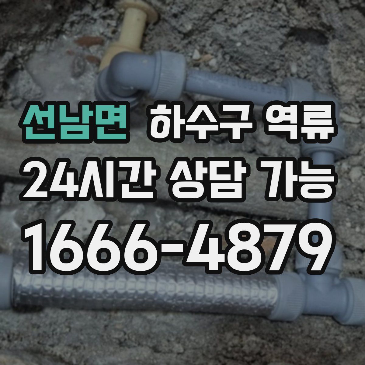 선남면 하수구 역류