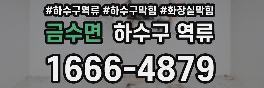 금수면 하수구 역류