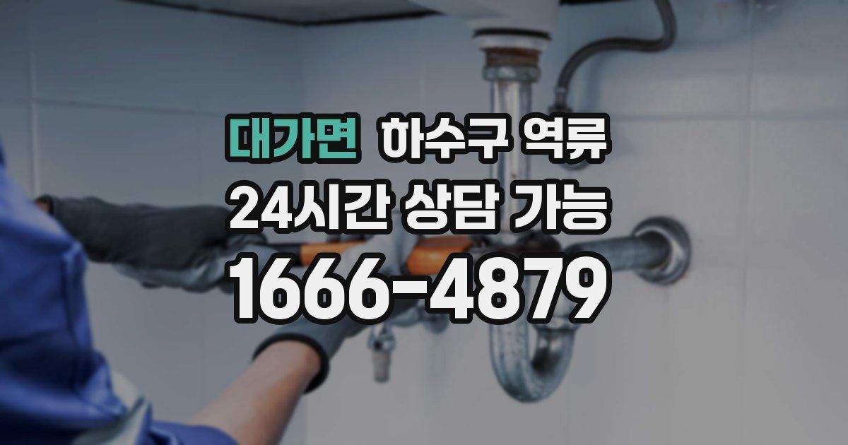 대가면 하수구 역류