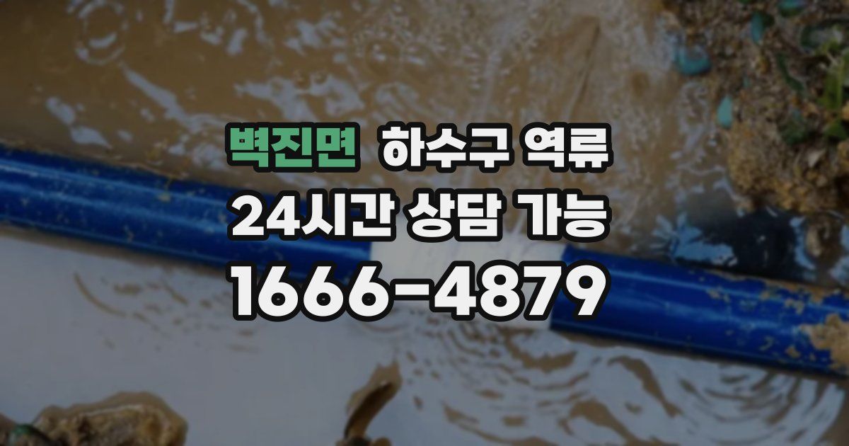 벽진면 하수구 역류