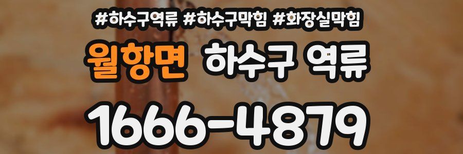 월항면 하수구 역류