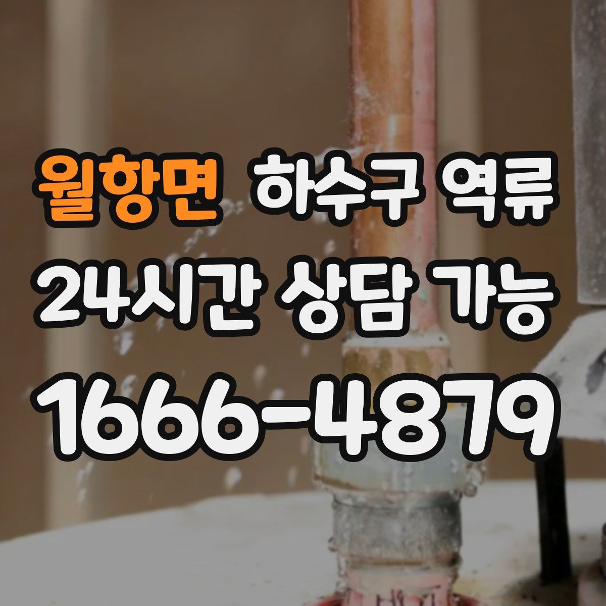 월항면 하수구 역류