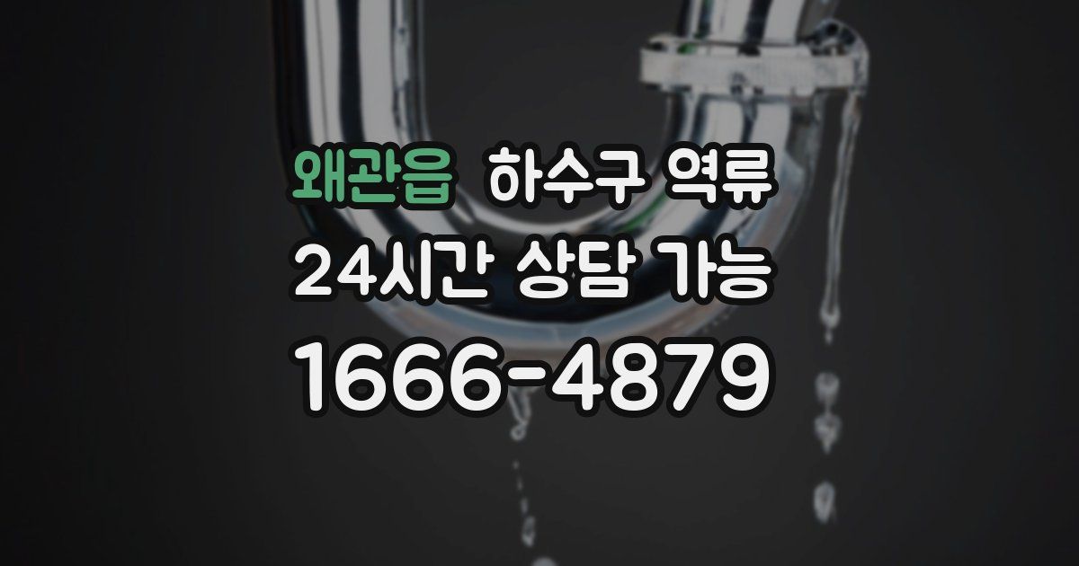 왜관읍 하수구 역류