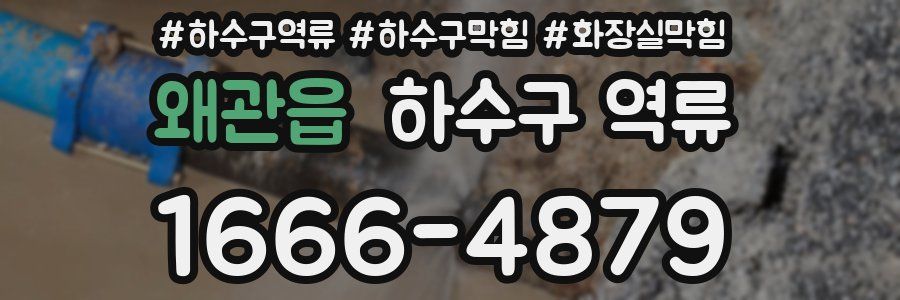 왜관읍 하수구 역류