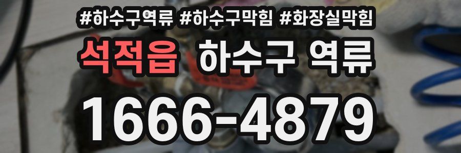 석적읍 하수구 역류