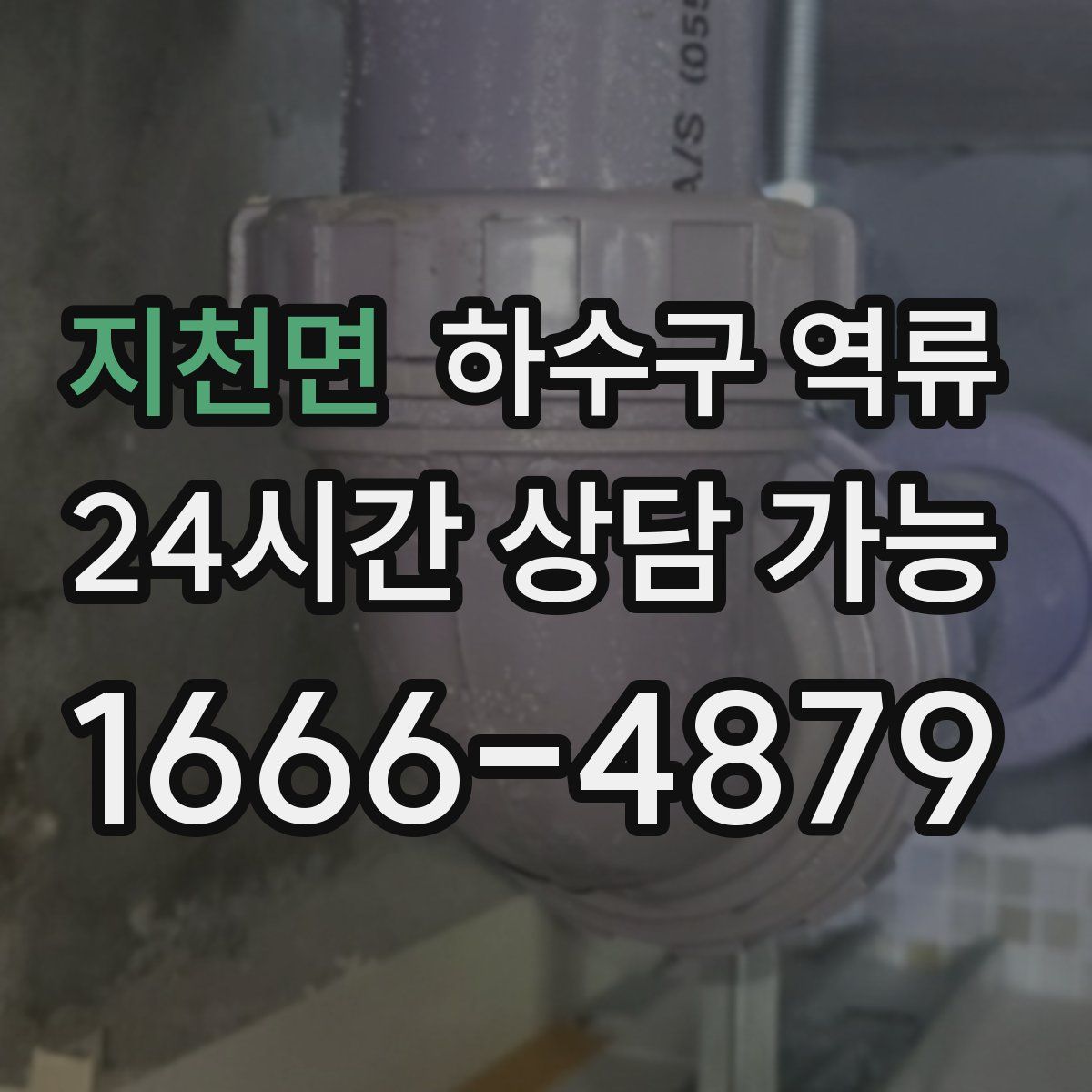 지천면 하수구 역류