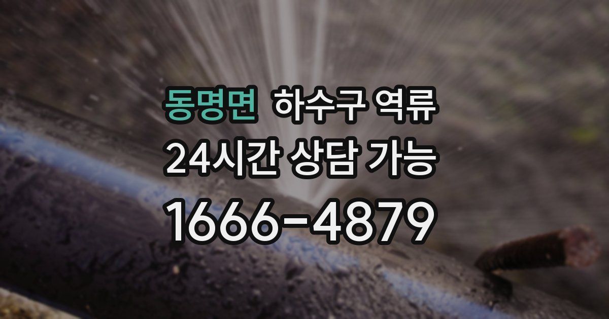 동명면 하수구 역류