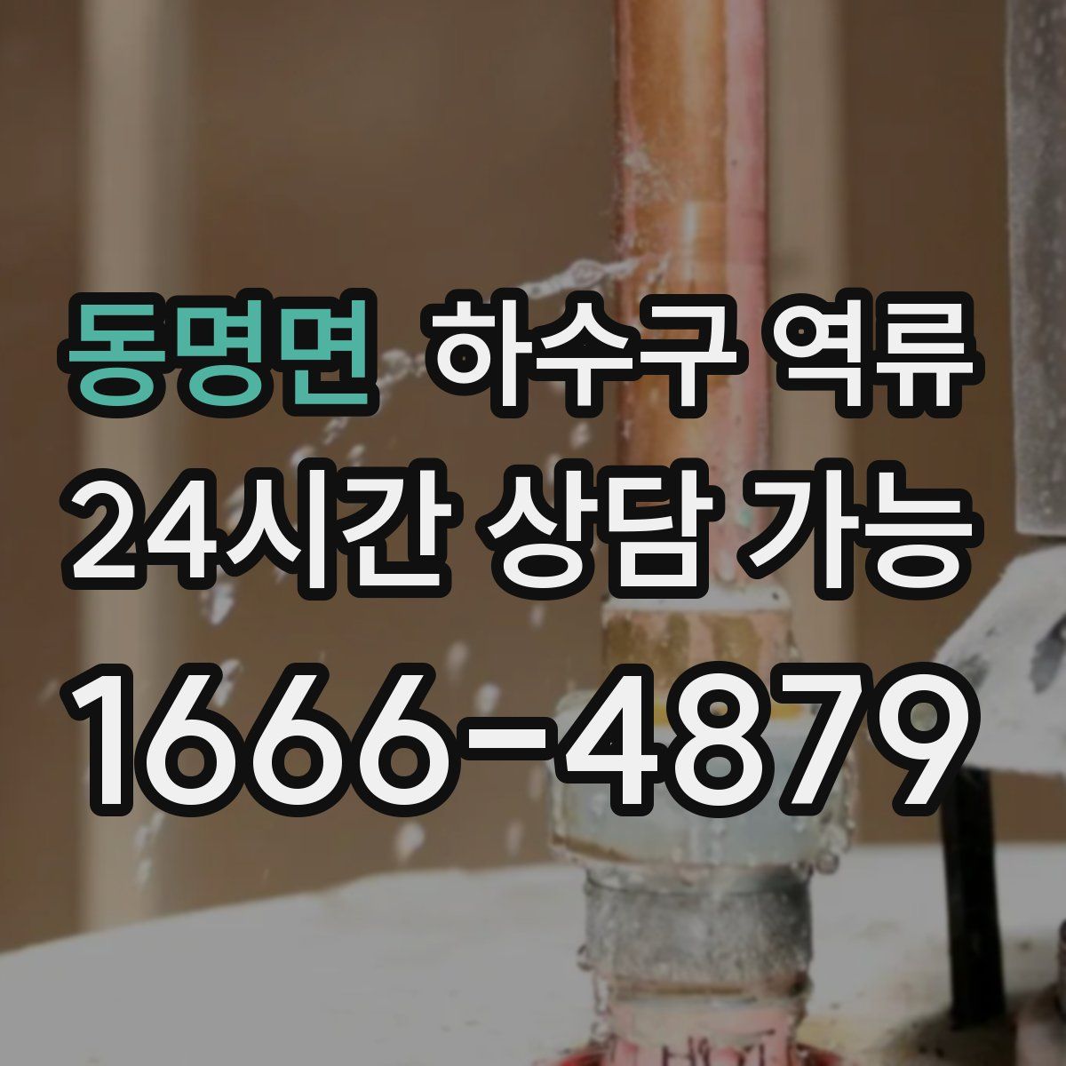 동명면 하수구 역류