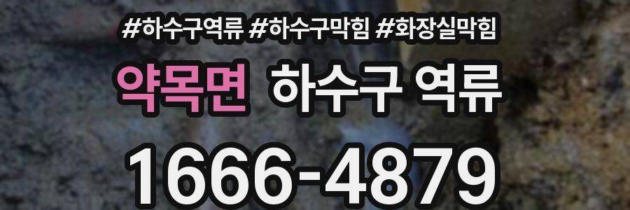 약목면 하수구 역류