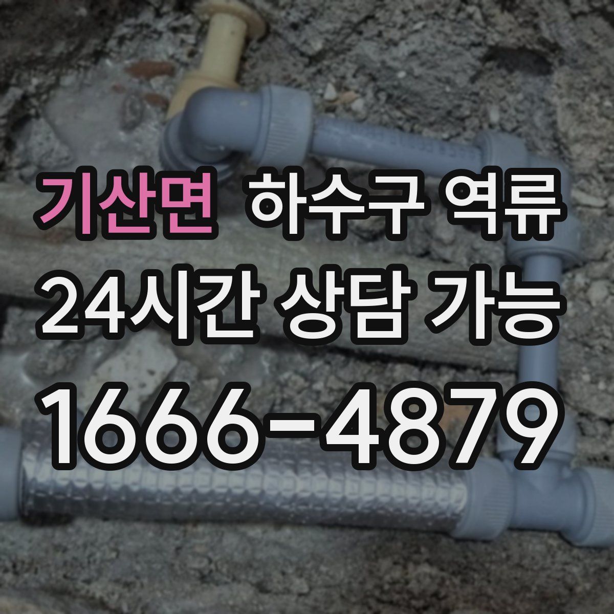 기산면 하수구 역류