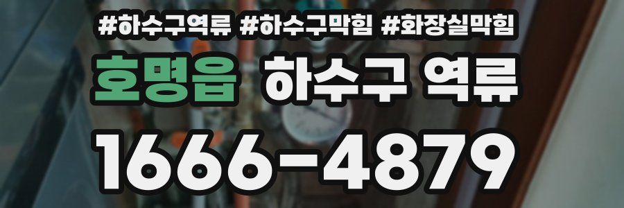 호명읍 하수구 역류
