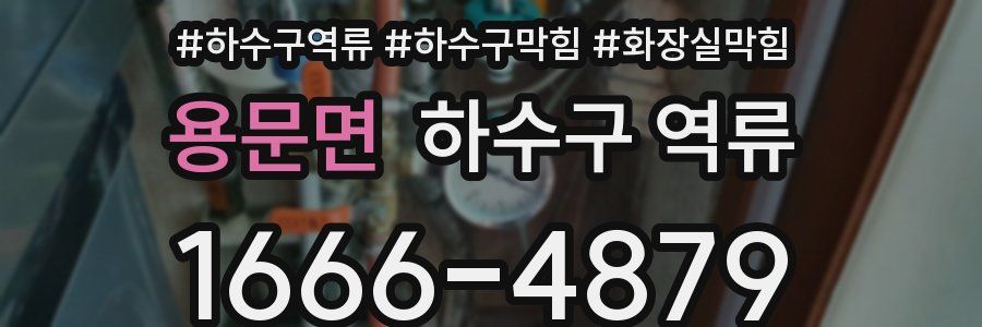 용문면 하수구 역류