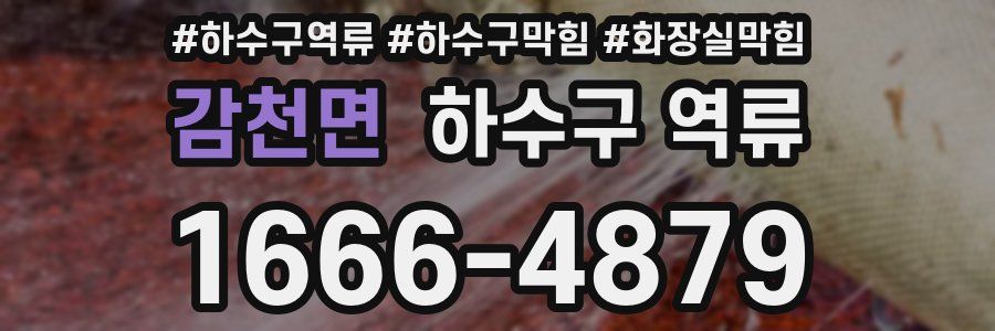 감천면 하수구 역류