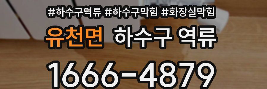 유천면 하수구 역류