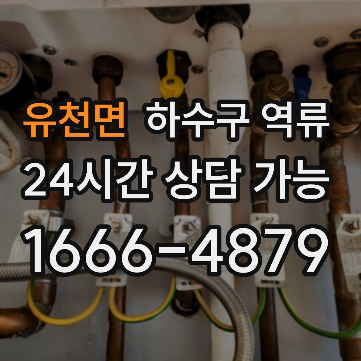 유천면 하수구 역류