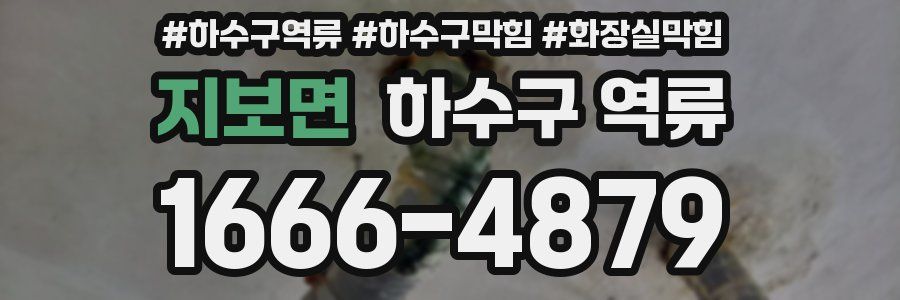 지보면 하수구 역류