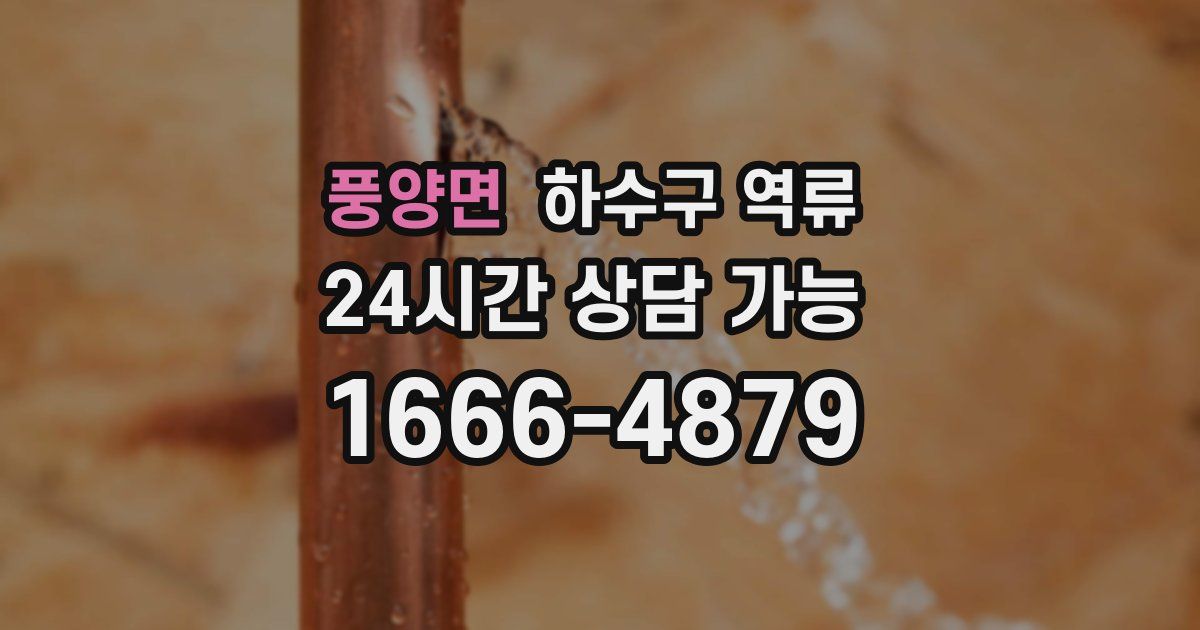 풍양면 하수구 역류