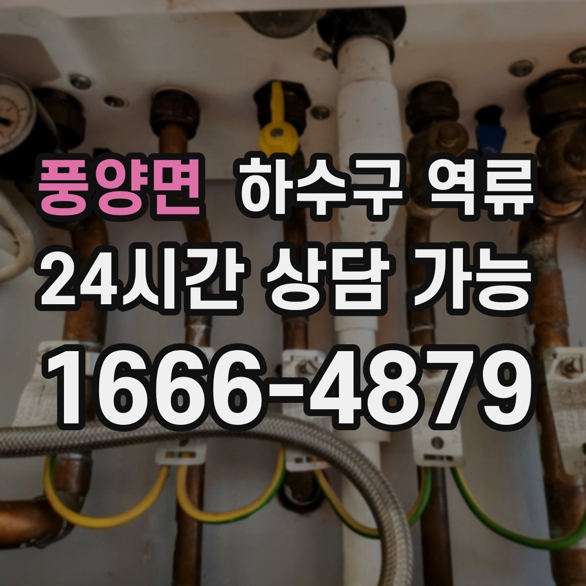 풍양면 하수구 역류