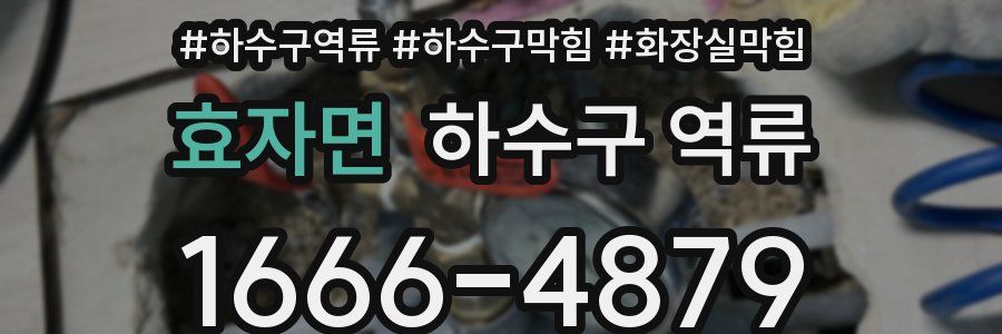 효자면 하수구 역류