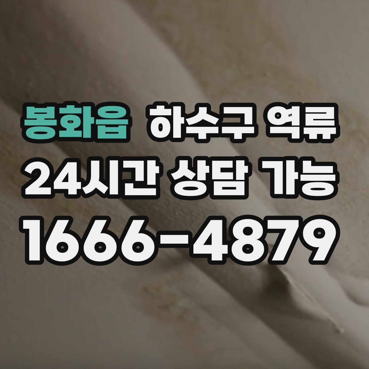 봉화읍 하수구 역류