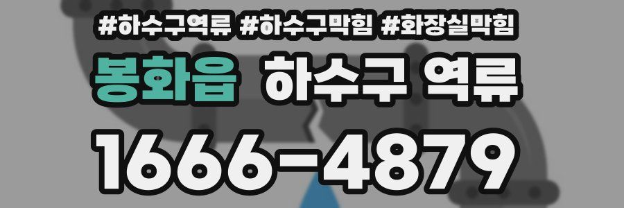 봉화읍 하수구 역류