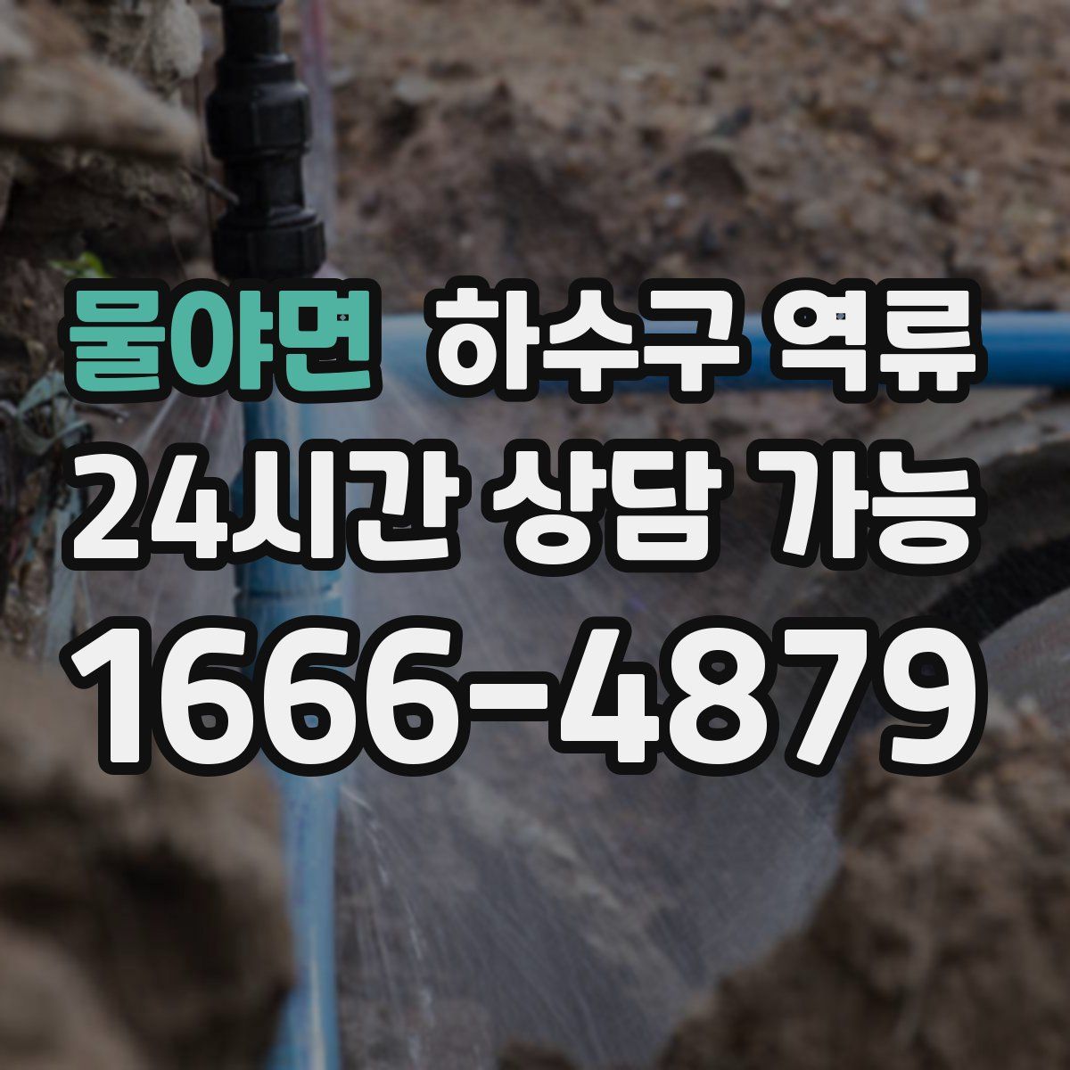 물야면 하수구 역류