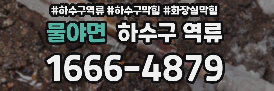 물야면 하수구 역류