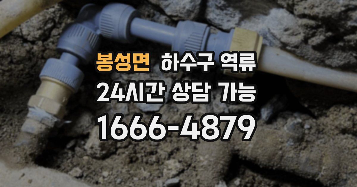 봉성면 하수구 역류