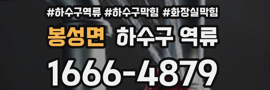 봉성면 하수구 역류