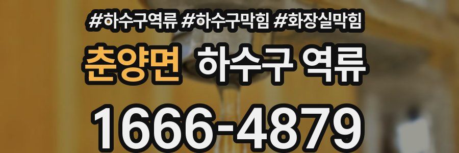 춘양면 하수구 역류