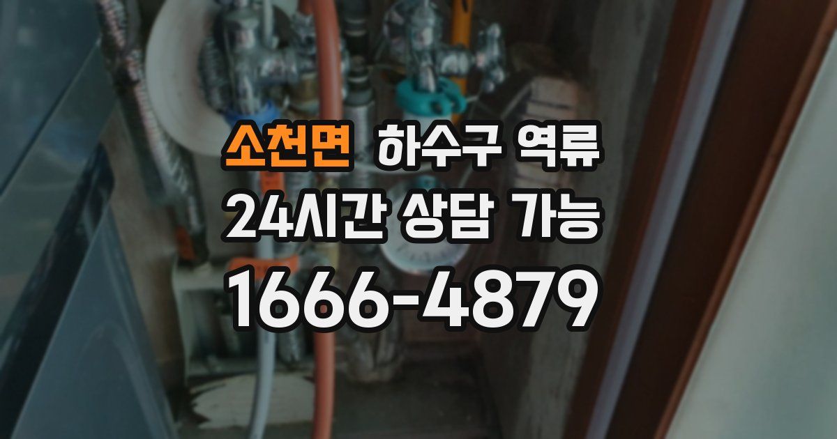 소천면 하수구 역류