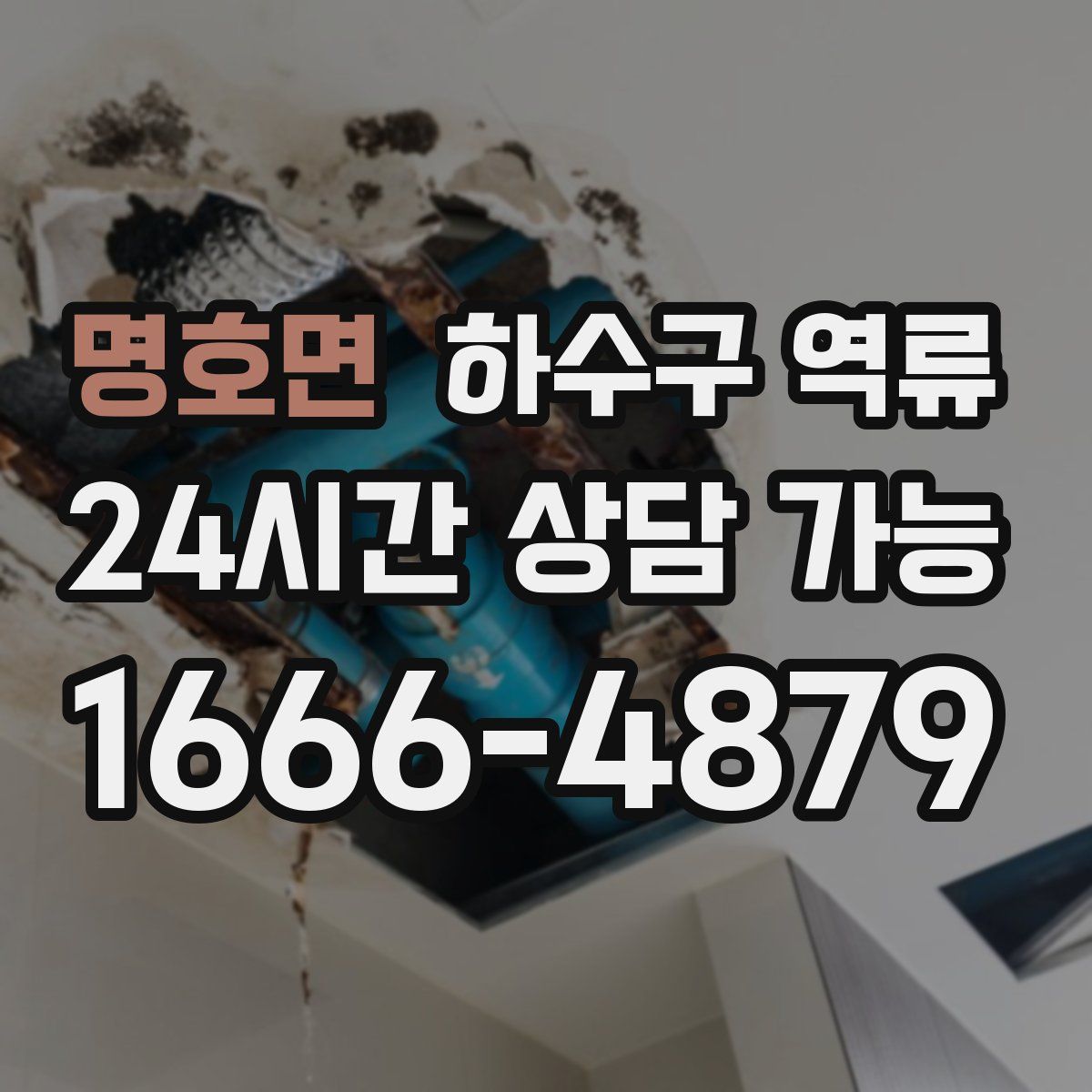 명호면 하수구 역류