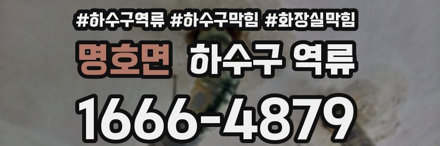 명호면 하수구 역류