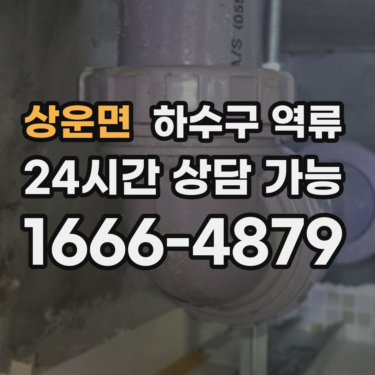 상운면 하수구 역류
