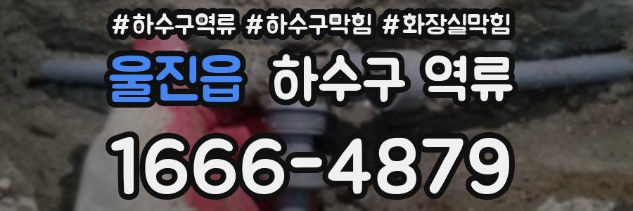 울진읍 하수구 역류