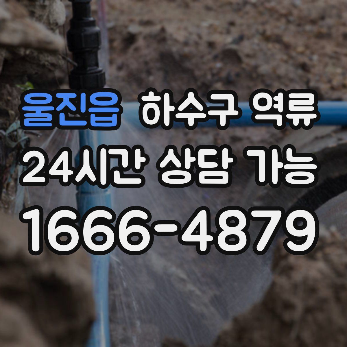 울진읍 하수구 역류