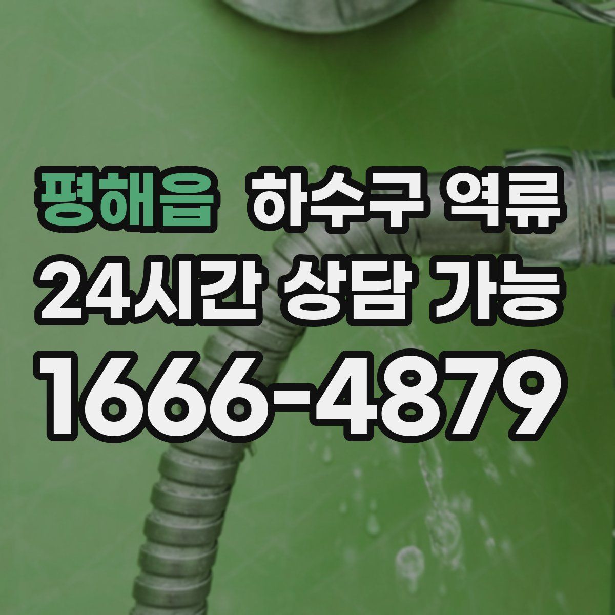 평해읍 하수구 역류
