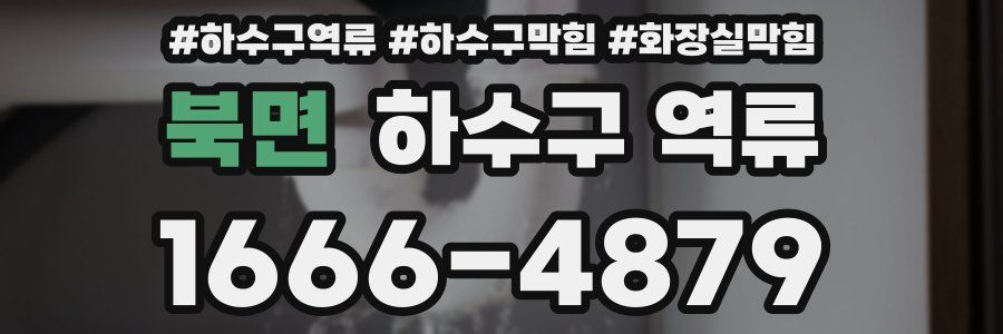 북면 하수구 역류