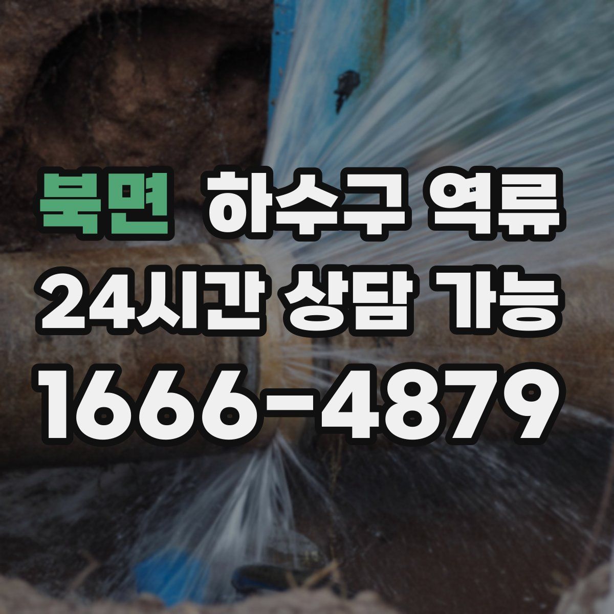 북면 하수구 역류