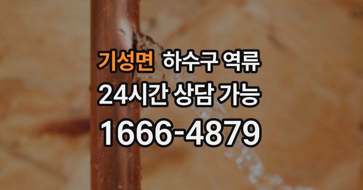 기성면 하수구 역류