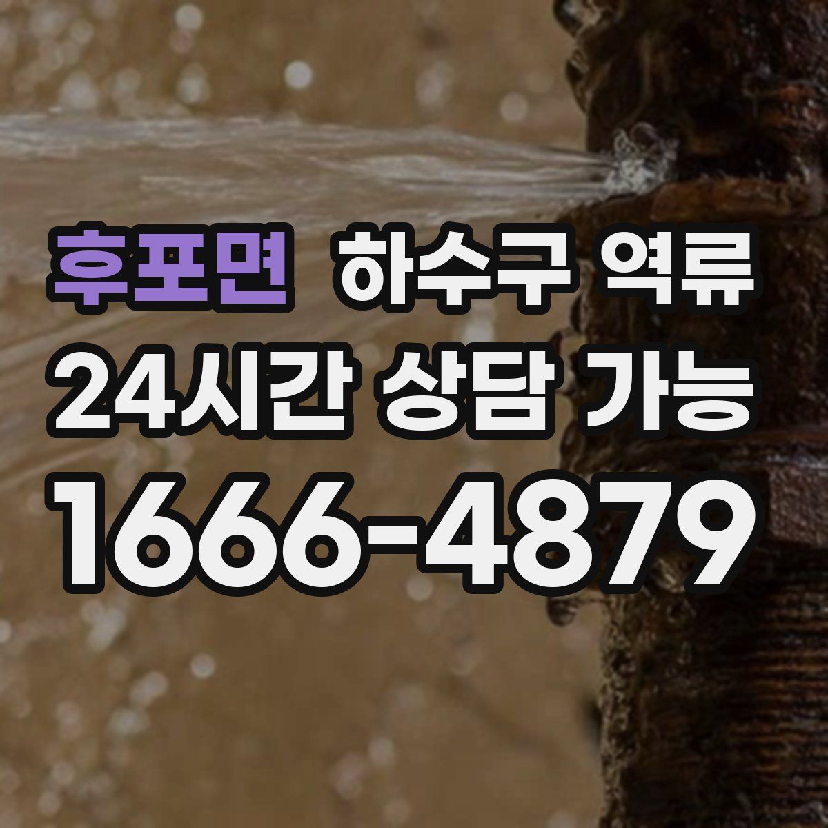 후포면 하수구 역류