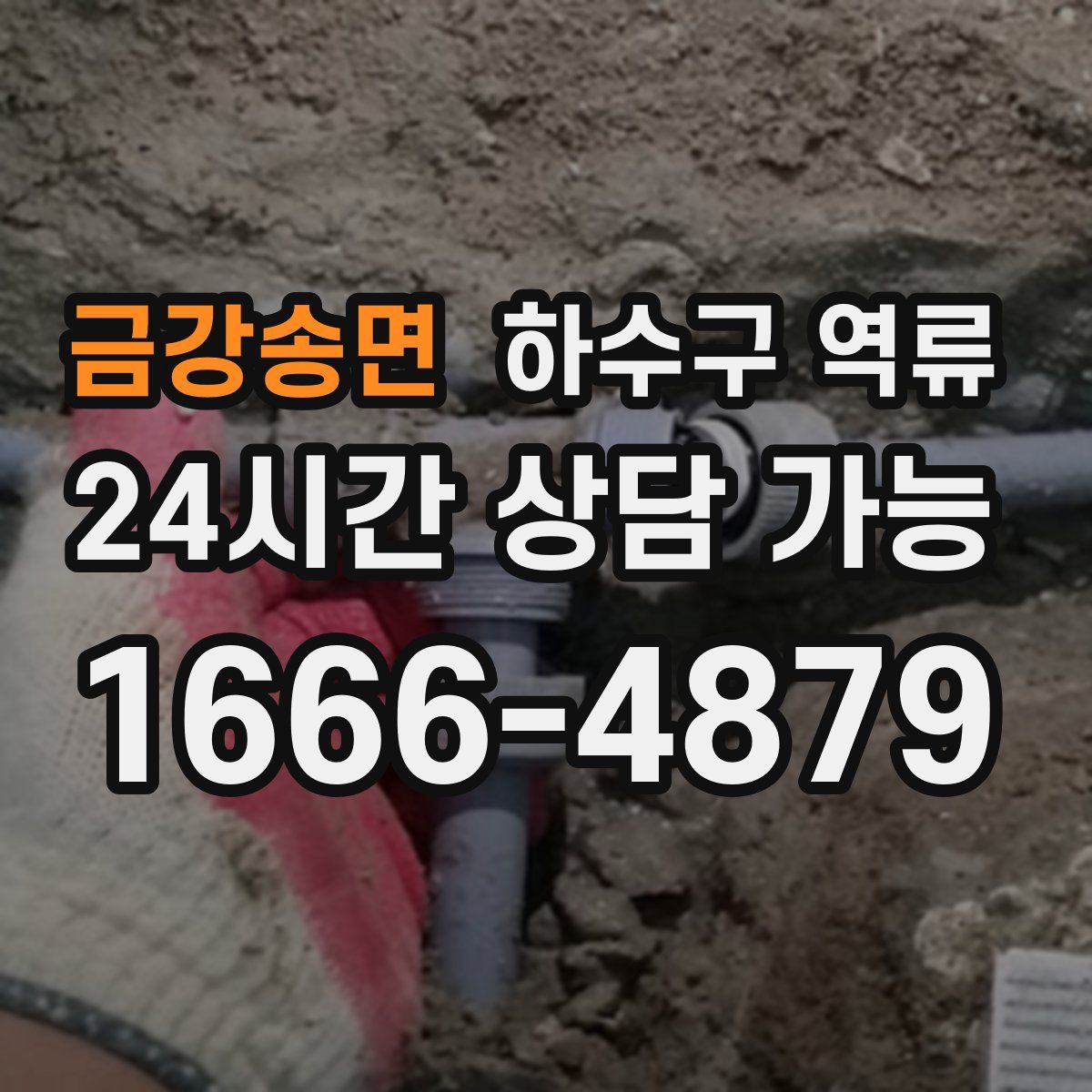 금강송면 하수구 역류