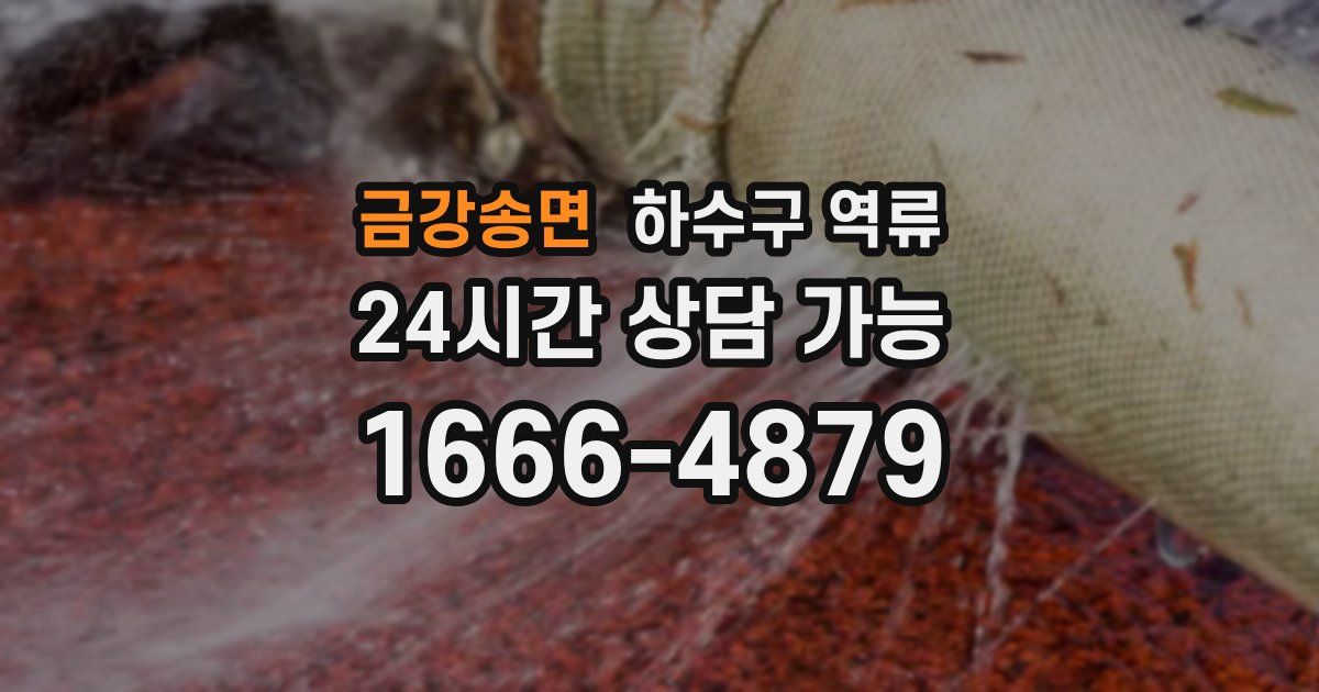 금강송면 하수구 역류