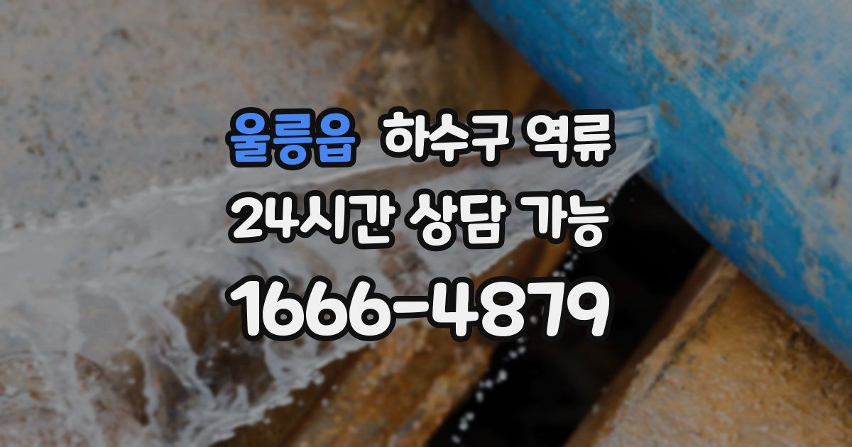 울릉읍 하수구 역류