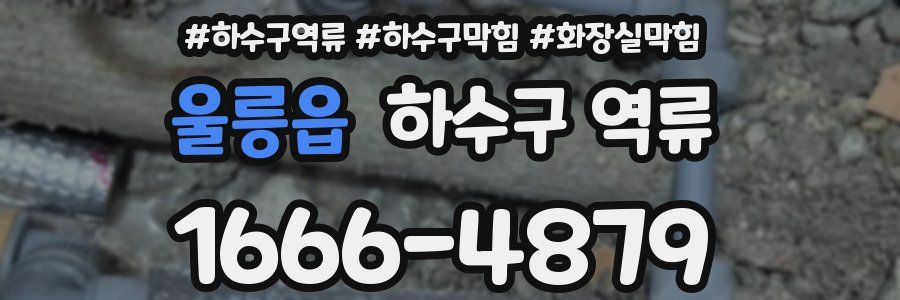 울릉읍 하수구 역류
