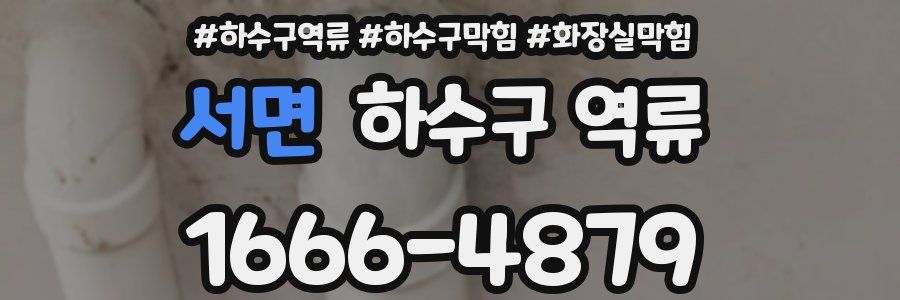 서면 하수구 역류
