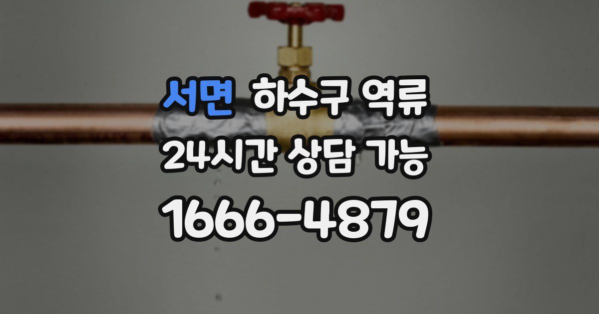 서면 하수구 역류