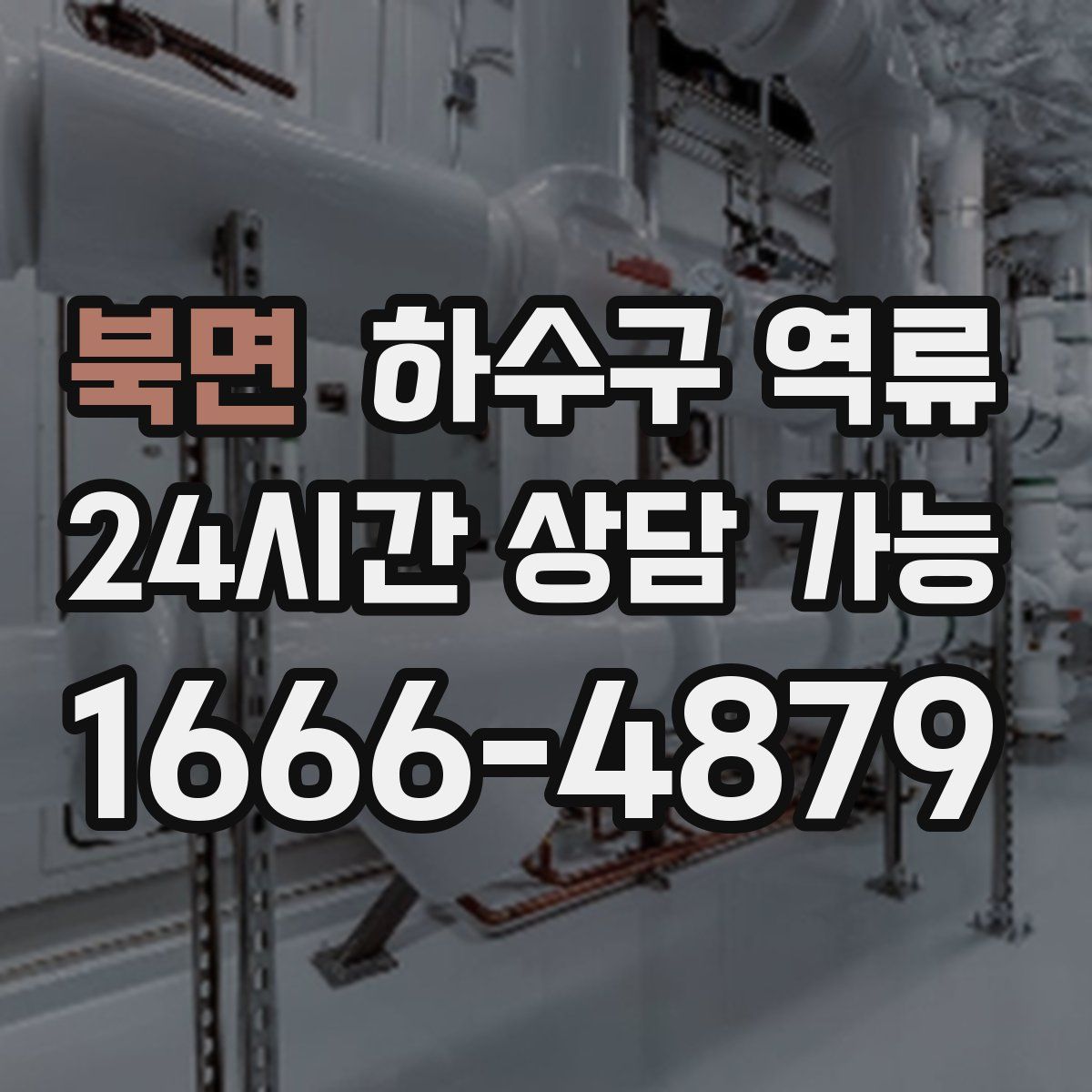 북면 하수구 역류