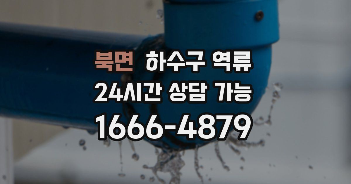 북면 하수구 역류
