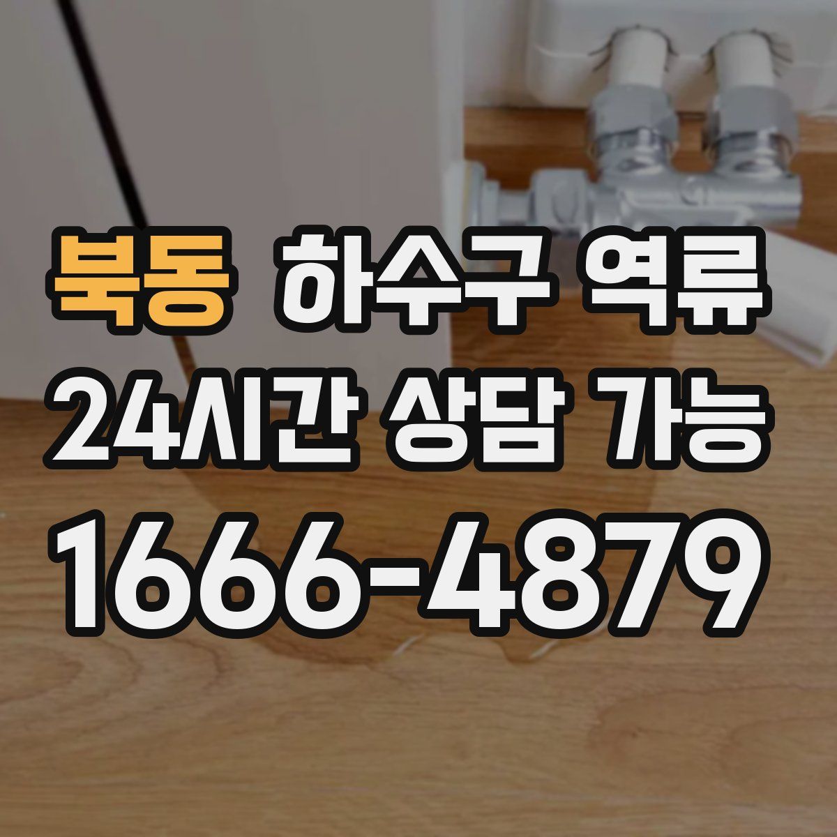 북동 하수구 역류